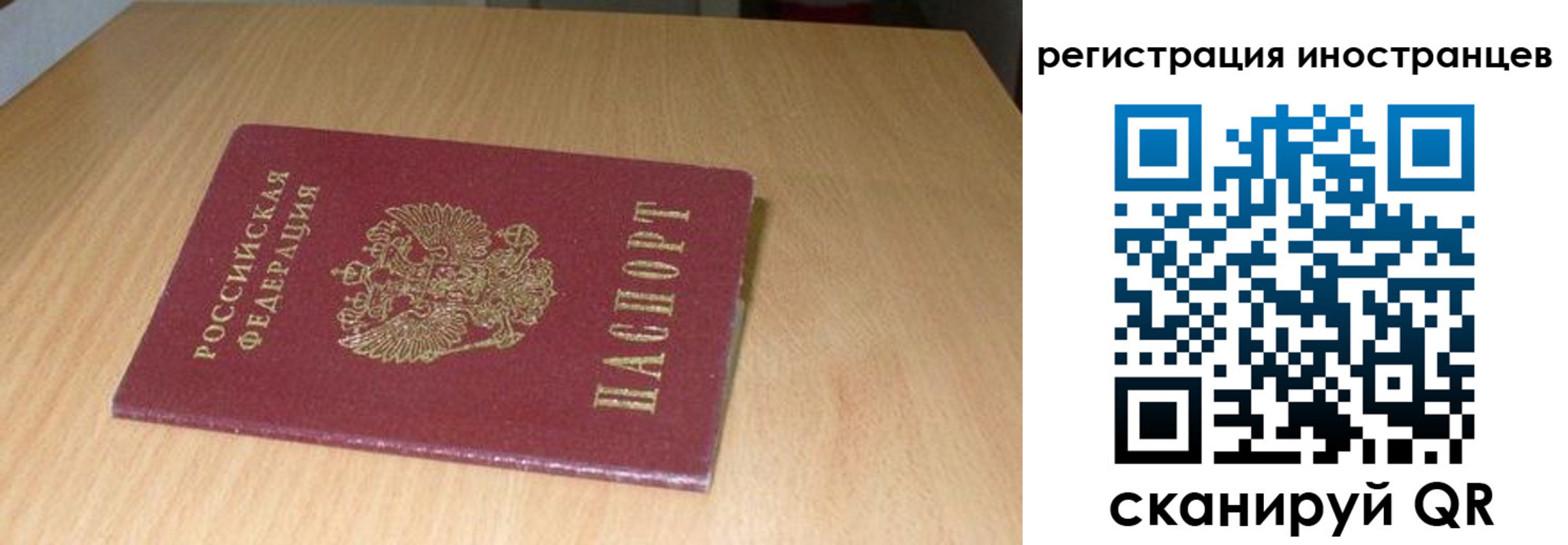 регистрация для школы в Фрязино